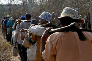 Group of rescued workers
