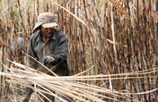 Slavery in Brazil - The voice of those excluded