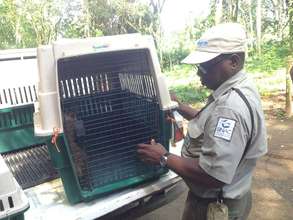 Sloth rescue