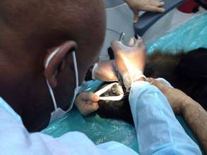 Dental check-up