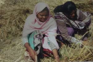 Women during harvestiing