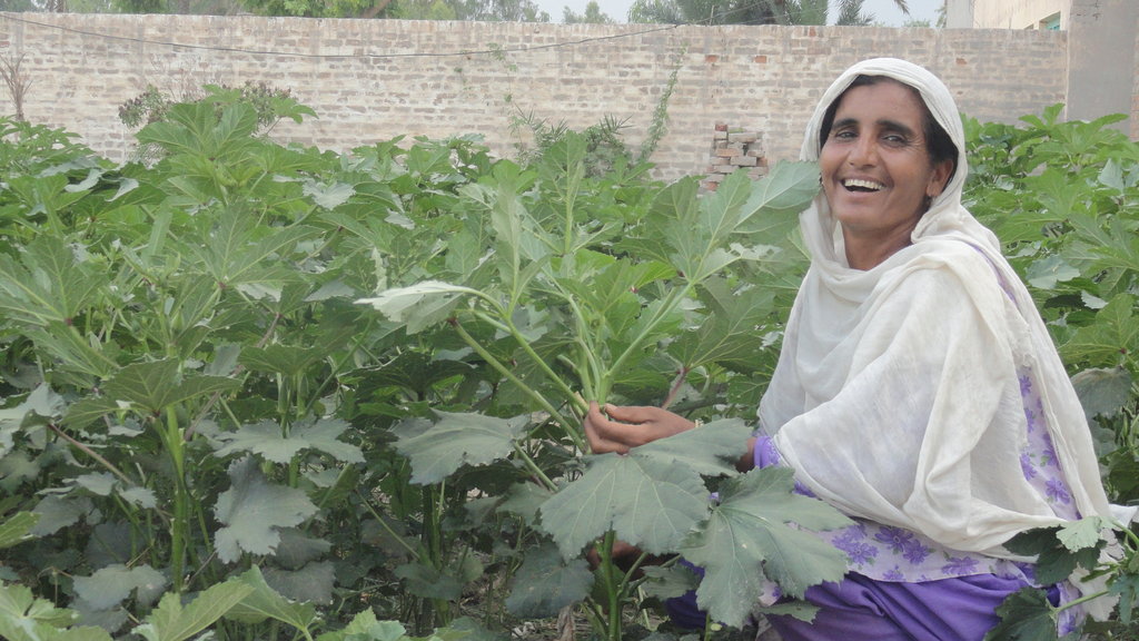 Vegetable farming for poor women of 10 rural areas