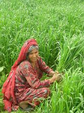 One of the beneficiary of AWARD in a rural area