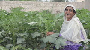 Women Vegetable Club