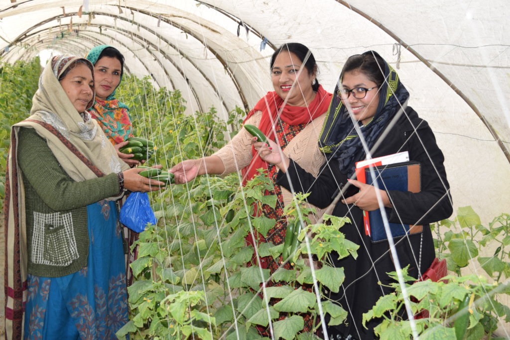 Vegetable farming for poor women of 10 rural areas