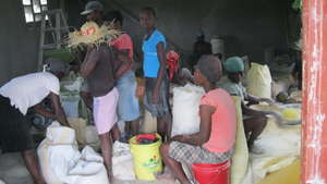 Waiting to have their grains milled