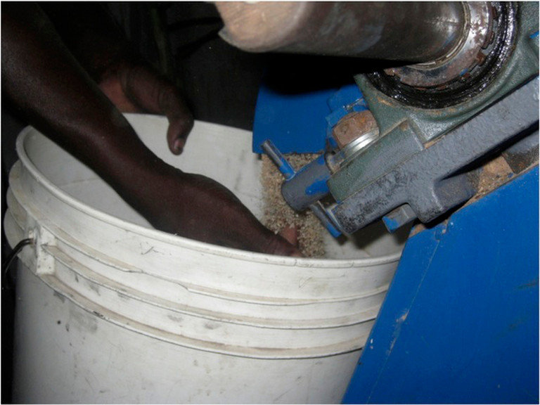 Help Haitians Grow Food Themselves