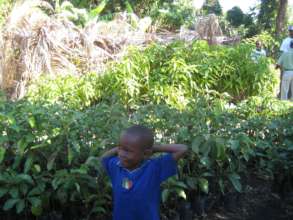 The hope is in new plant growing across Haiti