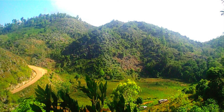 Let's Plant Trees in Haiti, Together!