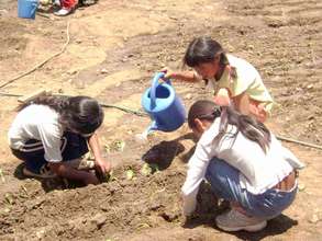 Children learning to garden at MAP Bolivia