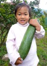 Sometimes the vegetables are bigger than she is!