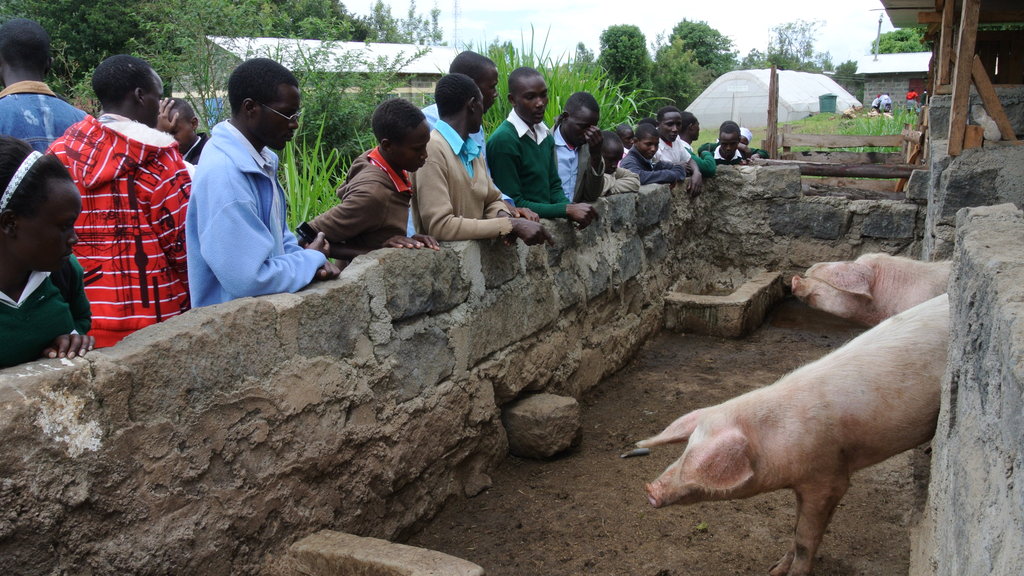 Empower 175 students for food security in Kenya