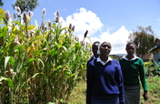 Empower 175 students for food security in Kenya