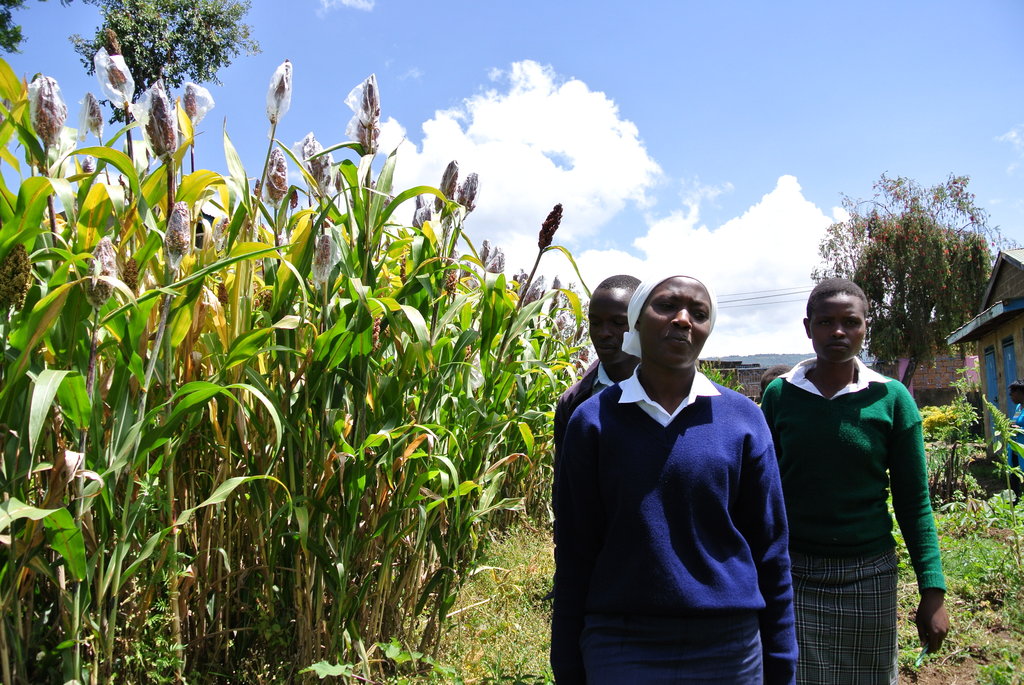 Empower 175 students for food security in Kenya