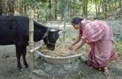 Securing Food for 200 Families in Bangladesh