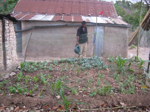 AB Franckel Fenelus has planted cabbage, swiss chard and more.