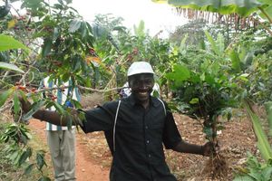 Collecting local planting materials