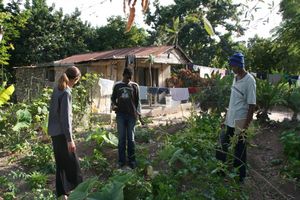 Working in the field