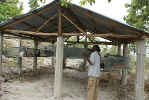 one of the new rabbit production units