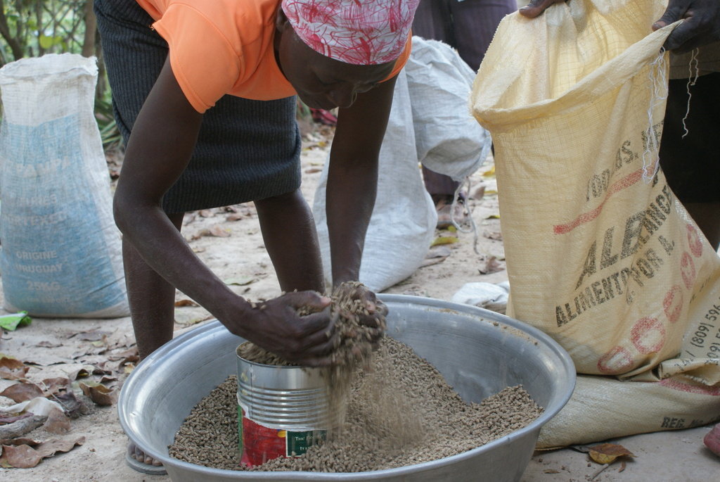 Help 500 Rural Haitian Families Fight Hunger