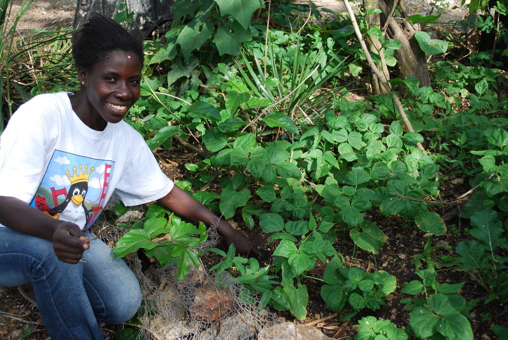 Help 500 Rural Haitian Families Fight Hunger