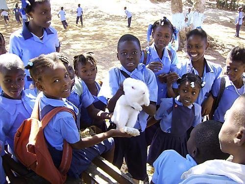 Help 500 Rural Haitian Families Fight Hunger