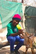 Feeding a baby antelope at the camp!