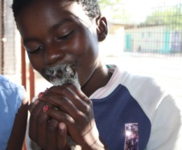 Child with Bush Baby