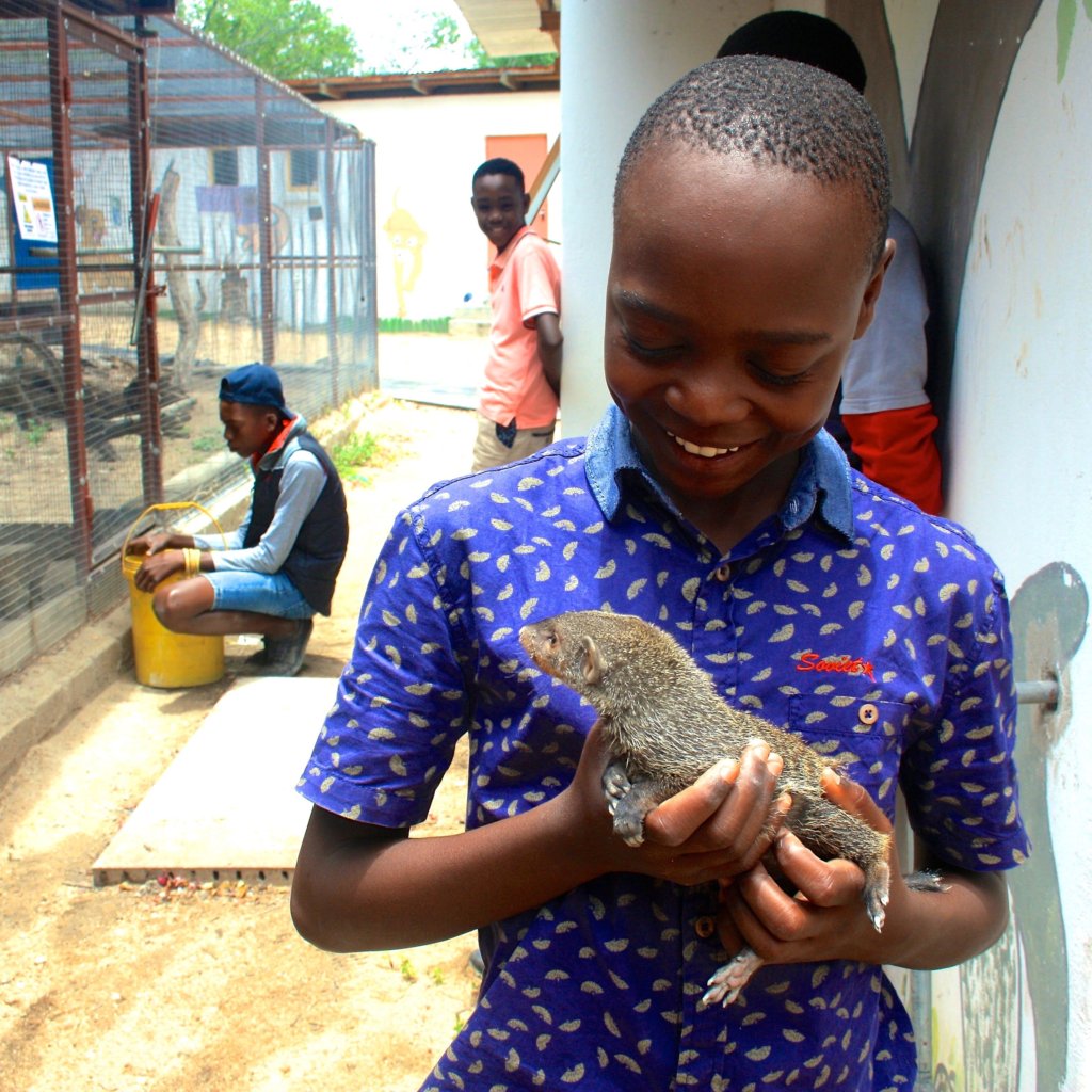 Educate African Children to Save Their Environment