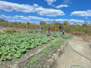 Students farming helps the agriculture curriculum