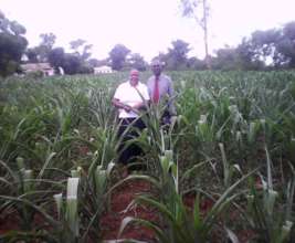 Mr Chipfunde in his plot