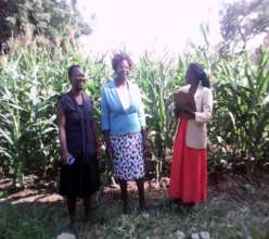 Teachers exhibiting their plot