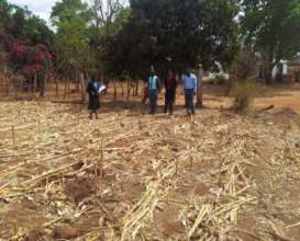 Mr Marima & Chipfunde in harvested Pfumvudza plot