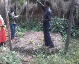 Mr Marima showing FfF team their old compost pile