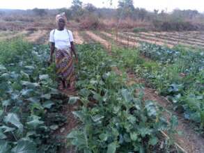 Women's group farming