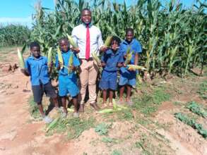 Pupils proudly show their maize crops.