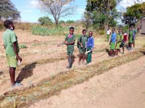 Students irrigating crops