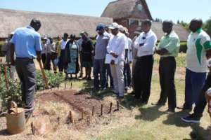 Demonstration plots in action