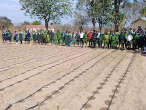 Students see drip irrigation system in action