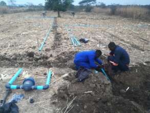 Drip irrigation system being installed