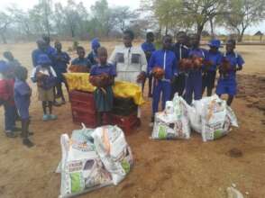 Kanyaga Primary- Chickens and maize