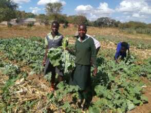 Kanyaga - pupils enjoy nutritional vegetables