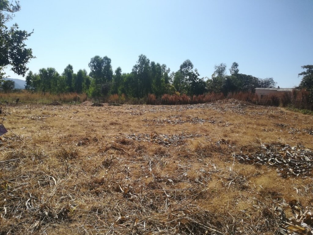 Land cleared and mulched