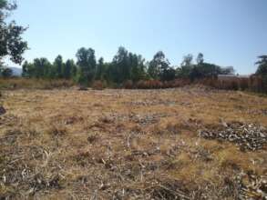 Land cleared and mulched