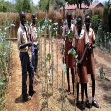 Pupils in their vegetable garden