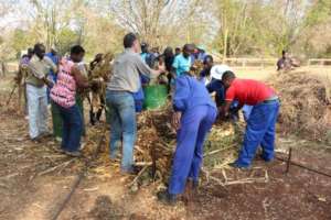 Conservation Agriculture Training Underway
