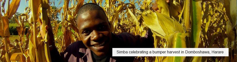 Train Primary Teachers in Conservation Agriculture