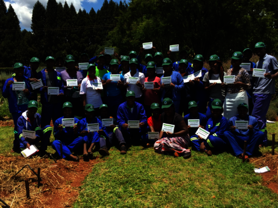 Train Primary Teachers in Conservation Agriculture
