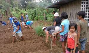 PTA parents create school garden waiting for rain