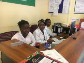 Francine's Work Experience